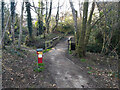 Footbridge on path 81W, Maidenbower, Crawley