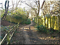 Footpath 81W, Maidenbower, Crawley