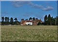 Martin Common Farm