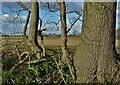 View from Pasture Lane to Pasture Farm