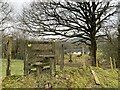 Footpath towards Blaen Crai