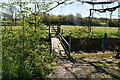 Footbridge, Crowhurst Stream