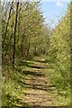 Footpath to Crowhurst Place