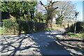 Narrow Sussex lane