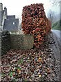 Stone Stile Beech Farm, Sheepscombe GS1011