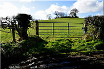 H4074 : Muddy entrance to field, Gillygooly by Kenneth  Allen