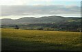 Looking towards the Campsie Fells