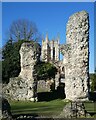 TL8564 : Bury St Edmunds - Abbey church ruins and Millennium Tower by Rob Farrow