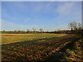 Stubble field between Braunston in Rutland and Brooke