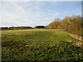 Grass field between Braunston in Rutland and Brooke