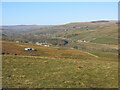 Weardale east of Westgate