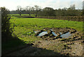 ST5660 : Pasture near Perry House Farm by Derek Harper