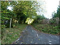 SO6292 : Footpath towards Hudwick Dingle by Richard Law