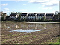 Wet field for neighbours