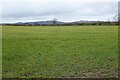 Farmland near Drayton