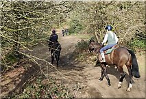 SO7639 : Horse riders near Hangman's Hill by Mat Fascione