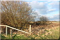 Field and bush in Collier Row