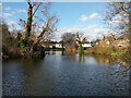 Moat Pond, East Grinstead