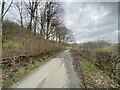 Road out of Rhiwlas