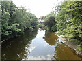 Afon Banwy at Llanfair Caereinion