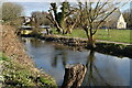 River Avon by Ashley Road Open Space