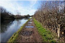SJ7387 : Bridgewater Canal towards Woodhouse Lane Viaduct by Ian S