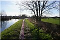 Bridgewater Canal towards Agden Bridge