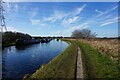 Bridgewater Canal towards Agden Bridge