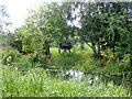 Two-wheeled horse carriage in a garden near the Montgomery Canal