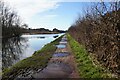 Bridgewater Canal towards Lymm Bridge