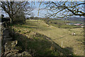 Looking towards Lodge Dale Farm