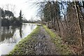 Bridgewater Canal towards Ditchfields Bridge