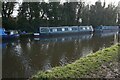 Canal Boat Robins Nest, Bridgewater Canal