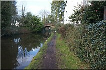 SJ6486 : Bridgewater Canal at Grappenhall Bridge by Ian S