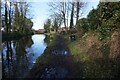 Bridgewater Canal towards Stanny Lunt Bridge