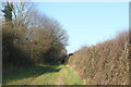TQ4899 : Bridleway to Theydon Mount by David Howard