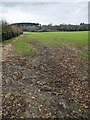 ST4996 : Field on the south side of the B4293, Itton, Monmouthshire by Jaggery