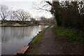 Macclesfield Canal towards bridge #36