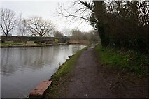 SJ9273 : Macclesfield Canal towards bridge #36 by Ian S