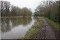 Macclesfield Canal towards bridge #30