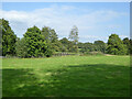 Field south of lake near Fen Place Mill