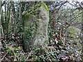 Brackenthwaite, Brackenthwaite Lane