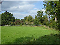 Field near Fen Place Mill