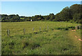 SX9456 : Field near Durl Head by Derek Harper