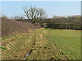 Bridleway towards Westerdale