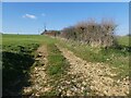 Farm track, north of Caryedge Lane