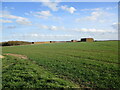 Straw stacks on site of former RAF Bardney