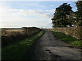 Lane to Abbey Warren Farm