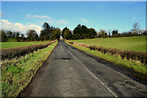H4862 : Corkhill Road by Kenneth  Allen