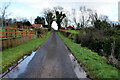 Water lying along Rosaleen Road